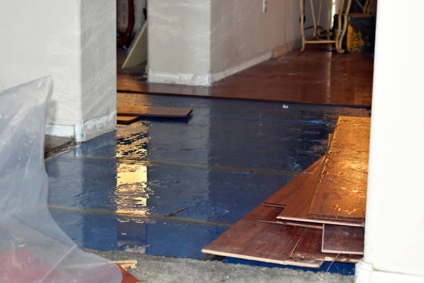 Professional Flood Cleanup technician working in Attica, IN